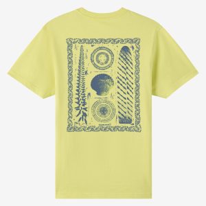 Calico Classic Tee