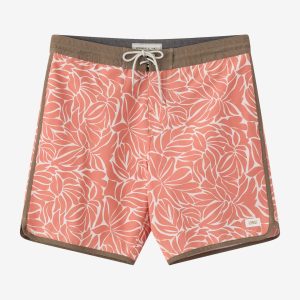 Cruzer Scallop 18 Boardshorts