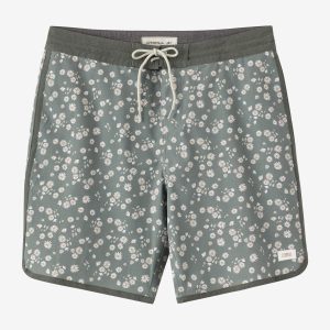 Cruzer Scallop 18 Boardshorts