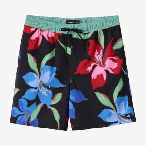 Boy's Hermosa Elastic Waist Lined 16 Swim Trunks