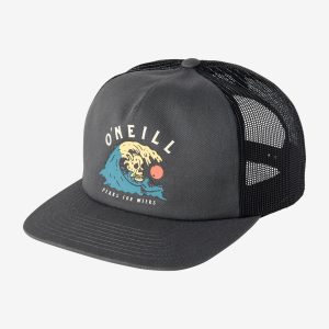 Wayside Trucker Hat
