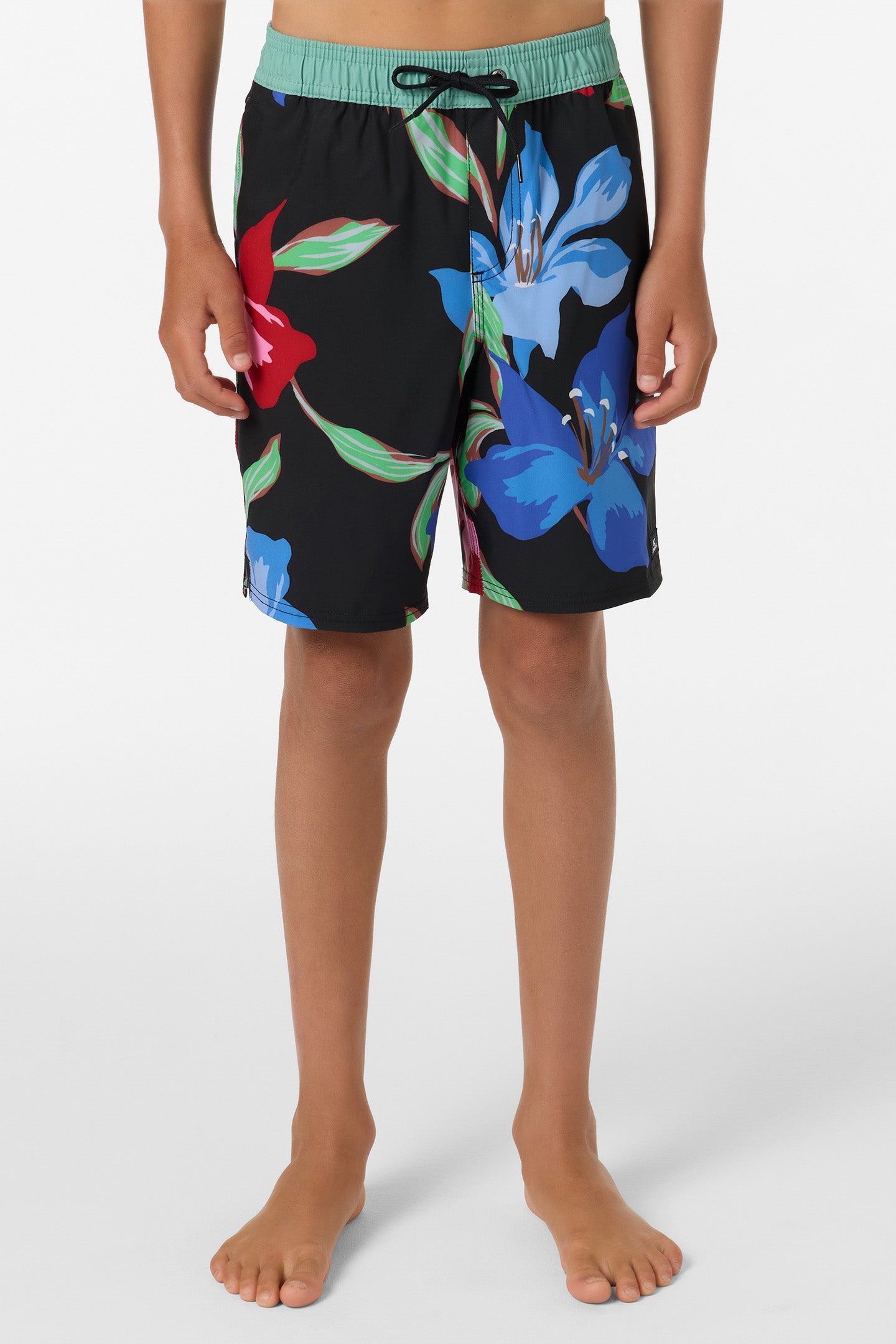 Boy's Hermosa Elastic Waist Lined 16 Swim Trunks - Image 2