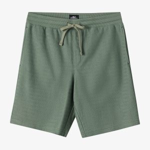 Bavaro Solid 19 Shorts