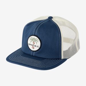 Boy's Froth Hat